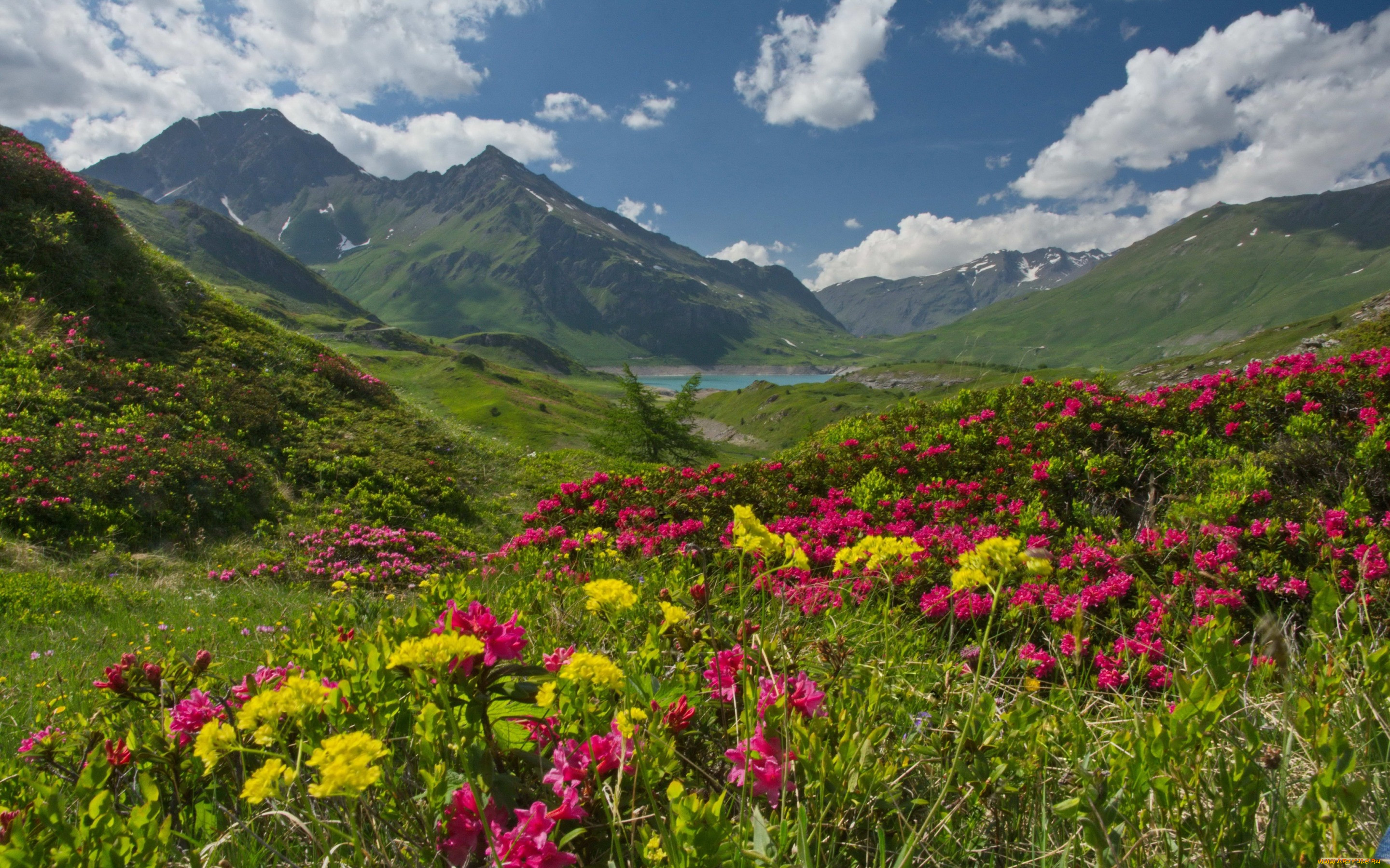 , , , , , , haute-maurienne, savoie, alps, , mont, cenis, , france